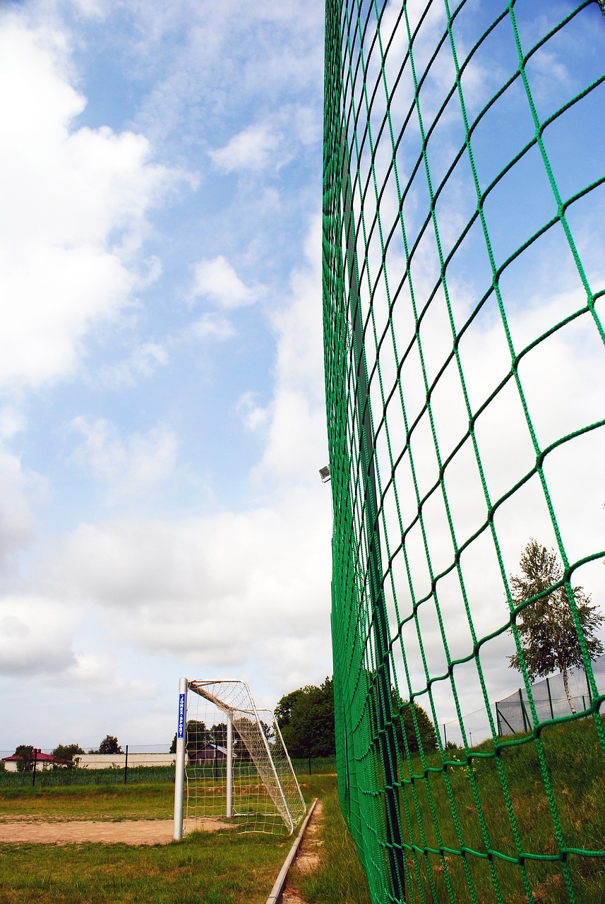 的职业生涯 的职业生涯