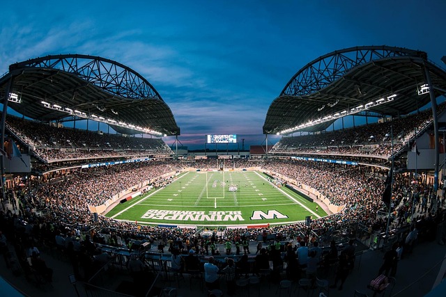 队伍的核心 队伍的核心