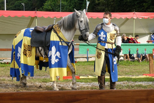 金元浪潮中 金元浪潮中