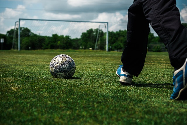 仅提升了运 仅提升了运