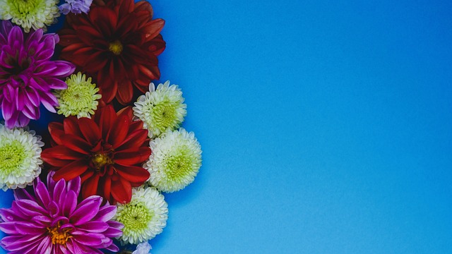 质疑动摇 质疑动摇