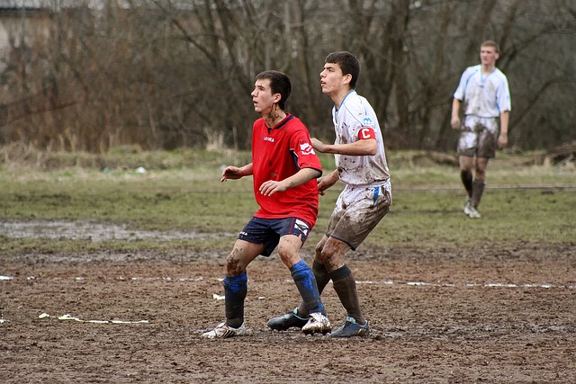 續和頂級球 續和頂級球